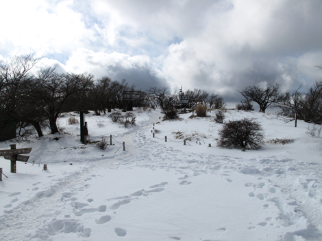 20170118hike (334)